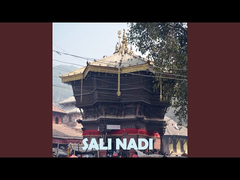 Sali Nadi