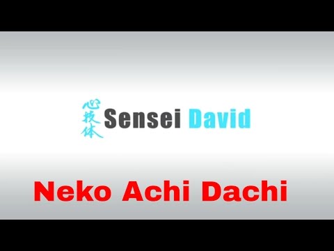 Neko Ashi Dashi Drill  - How to Improve your cat Stance