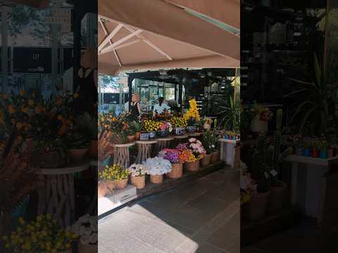 نكهة الربيع والصيف 💫🌃 #حياة_يومية#يوميتي#فلوق#تجربتي#يومياتي#توثيق#حياتي#يوميات#مغامراتي