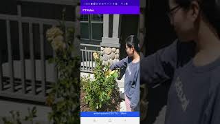 PytorchVideo Accelerator demo
