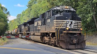 NS H60 at Main street in Plains