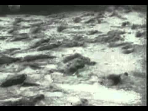 1942 - The Pacific Front