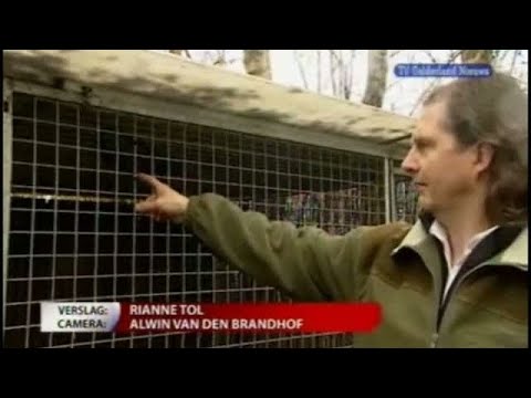 GLD Nieuws 4 januari 2009 - Nieuws