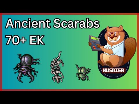Mother of Scarabs Lair | 70+ Knight | 600 k/h raw | Tibia