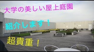 僕の大学だけの良い所!? 東京ドームが見える屋上紹介します！
