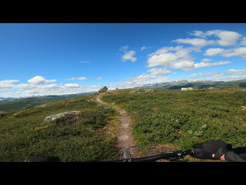 Skurvehovda, Ål, Hallingdal | Mountain Biking Norway
