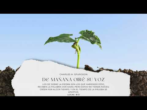 Charles Spurgeon - Devocional - De mañana oiré su voz - Enero 11
