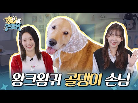 왕구의 편집샵 | 첫 손님부터 너무 귀여워서 어떡하죠?🐕 (feat. 하이키 휘서) | EP.03