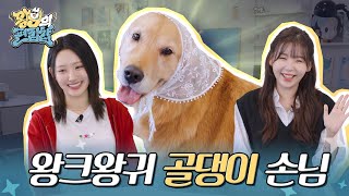 왕구의 편집샵 | 첫 손님부터 너무 귀여워서 어떡하죠?🐕 (feat. 하이키 휘서) | EP.03