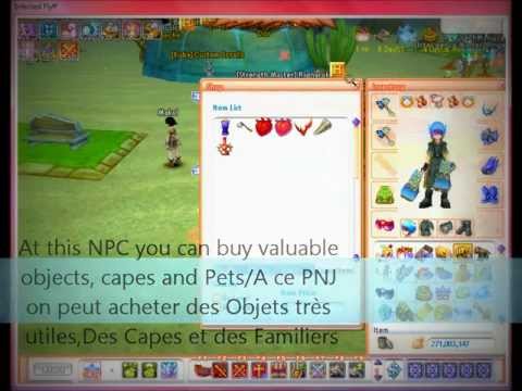 Overview of server Infected Flyff(GW server)