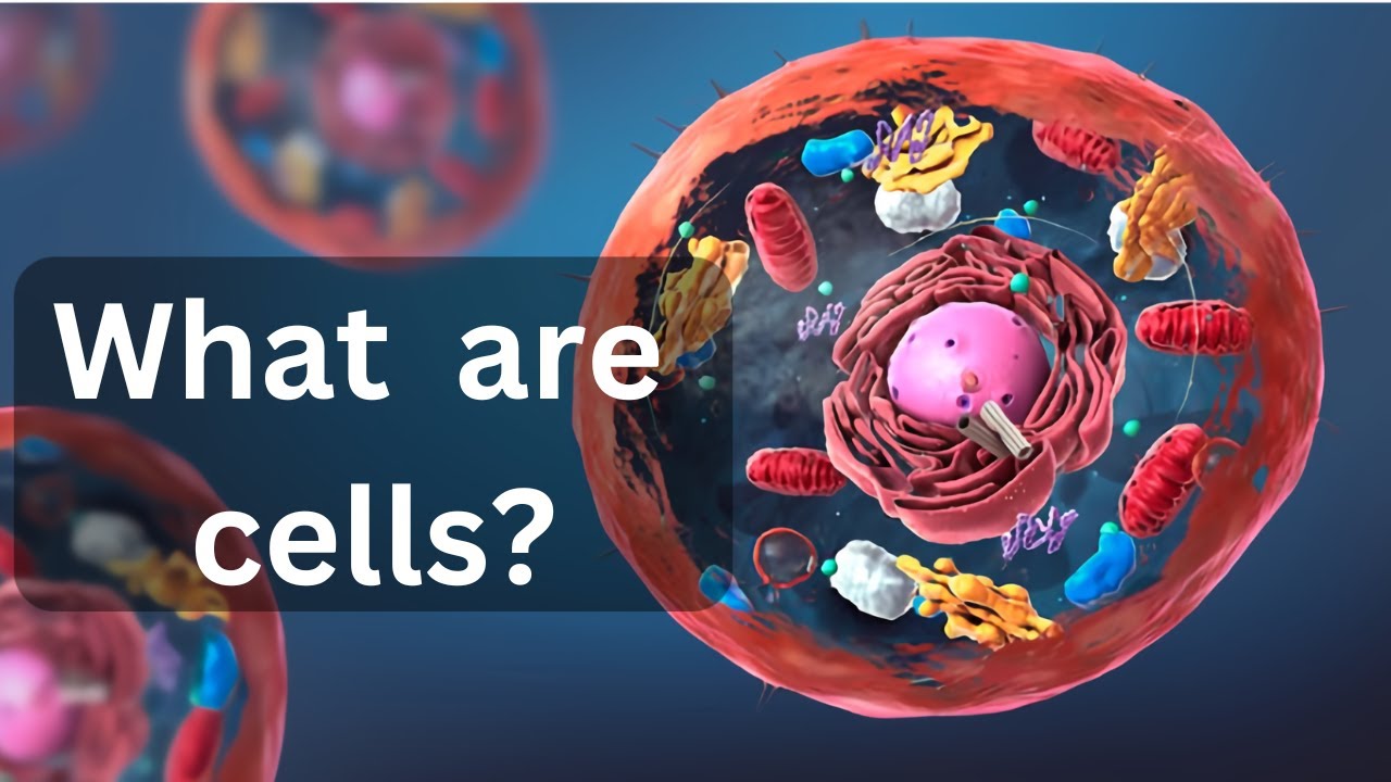 what are cells in human body|| what are cells made of|| What are cells?