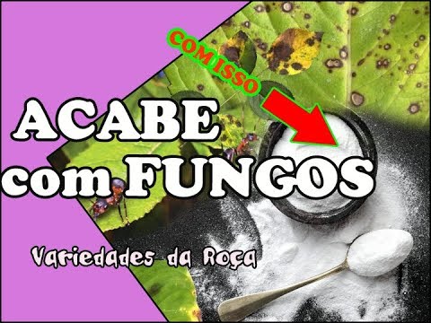 , title : 'Acabe com Fungos e Elimine Pragas - Bicarbonato de Sódio'