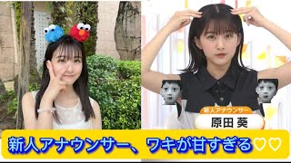 新人アナウンサー、ワキが甘すぎる♡♡【ネットの反応】#原田葵 #イケおじ認定