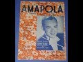 Amapola - (Instrumental Cover)