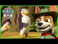 The Pups Find Penguins In The Jungle PAW Patrol Rescue Episode Cartoons For Kids
