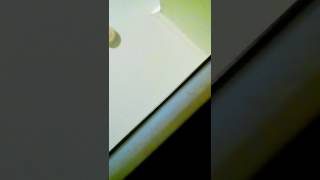 Reba Mcentire  read my mind