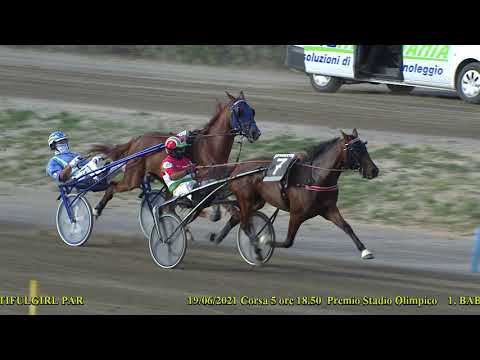 V Corsa   Premio Stadio Olimpico del 19 Giugno 2021