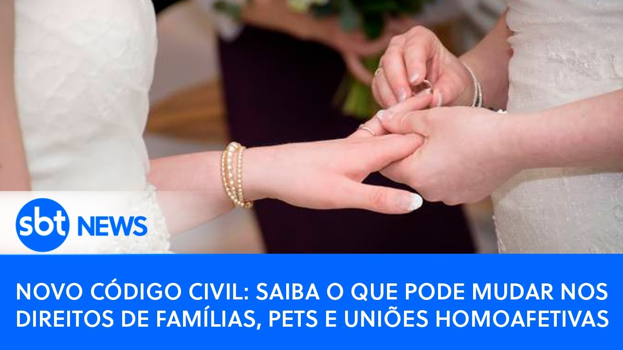 Novo Código Civil: saiba o que pode mudar nos direitos de famílias, pets e uniões homoafetivas