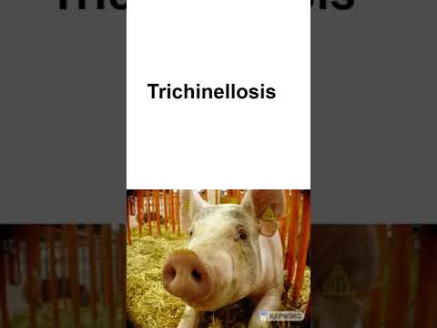 , title : 'How to Pronounce Trichinellosis'