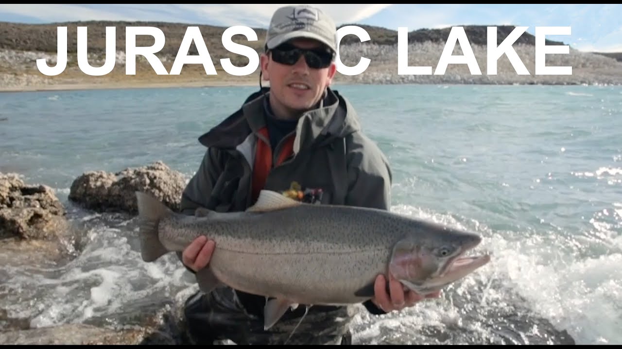 Video 1
