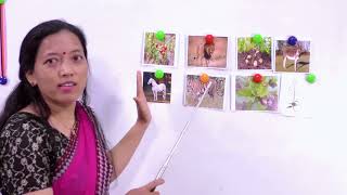 Classification of Living Beings - Part 1