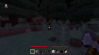 マイクラサバイバル　realms　配信途切れた