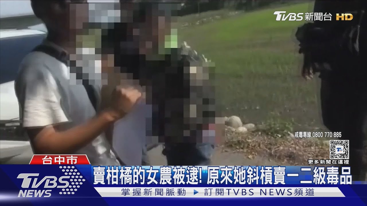 賣柑橘的女農被逮! 原來她斜槓賣一二級毒品