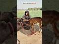 Sakina Ne Diya Jahar Funny Sakina Emotional Shorts