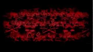 Lady Gaga - Kill The Bitch Interlude (BTW Ball Tour)