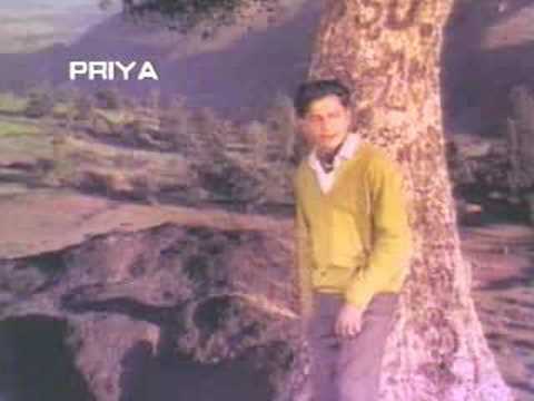 Wadiyan mera daman...