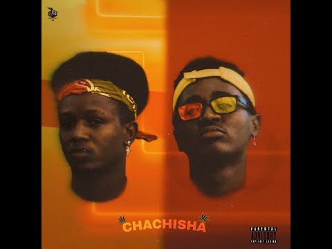 Kingshitt HrN  x  Ty Niccar Beats -CHACHISHA (Official Video)