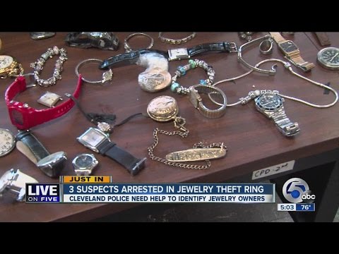 Suspected jewelry theft ring busted
