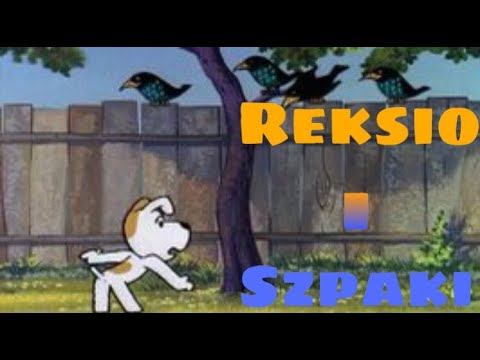 Reksio i szpaki