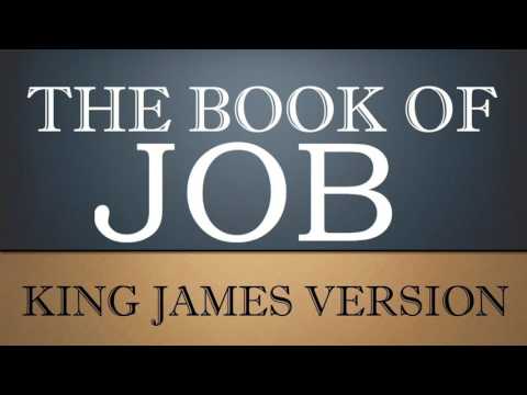 Book of Job - Chapter 13 - KJV Audio Bible