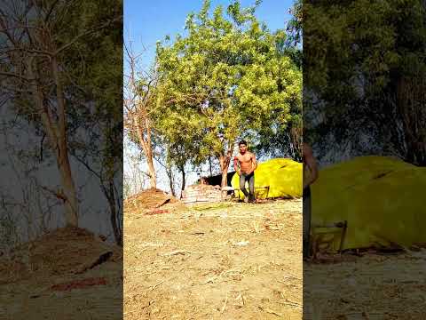 one hand push ups vs Webster flip #shorts #youtubeshorts#viral #trending#calisthenics #flip #fitness