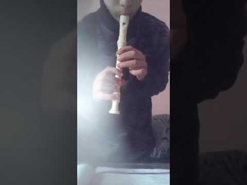 Wake me up suonata su un flauto