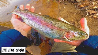 Fishing Cold NJ Water for Rainbow Trout | Catch and Cook!!!