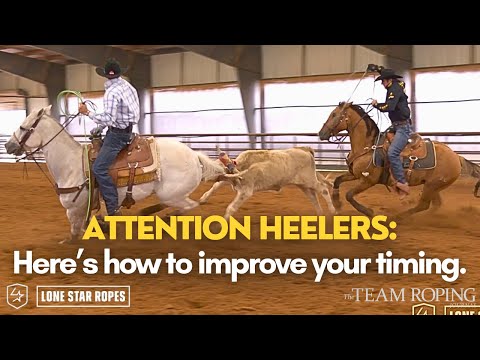 Heelers, Here’s How You Can Improve Your Timing