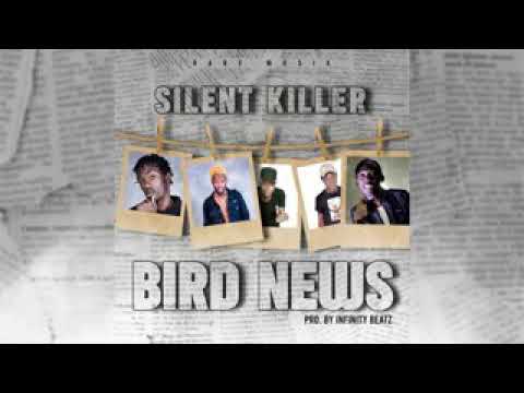 silent killer - bird news