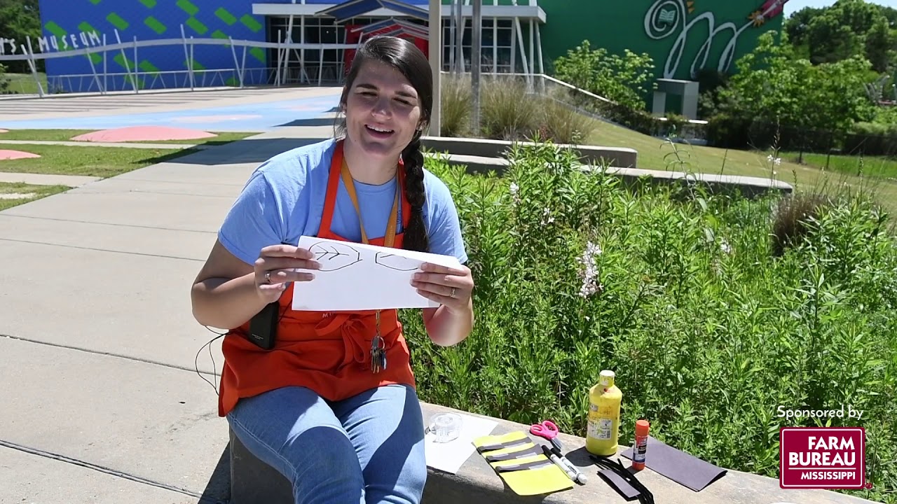 What’s the Buzz on Bees??? Feature Image