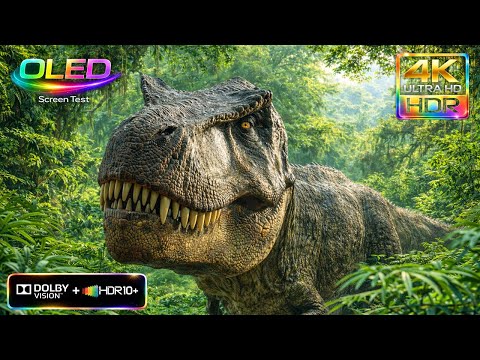INSANE Oled Demo 4K HDR 240FPS | Dolby Vision Relaxation Demo (8K/4K TV)