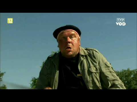 Patataj patataj tabun dzikich koni🤗🤭