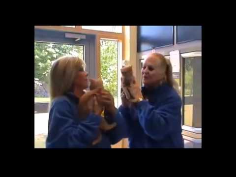 Samantha Fox & Kim Woodburn at Cats Protection