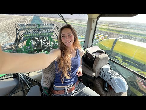 We Could Go All Night