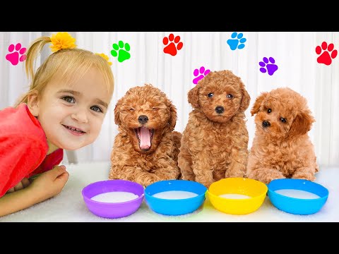 Alice learns to take care of her new pet