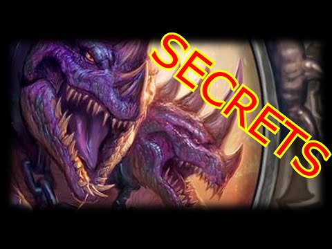 Warcraft Lore: Chromaggus Secrets!