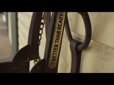 2019 Magic Millions March QTIS Sale - Better Than Ready