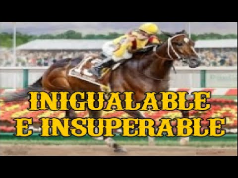 Rachel Alexandra The Champion Who Was Better Than Zenyatta