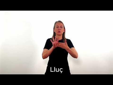 Lluç - LSC
