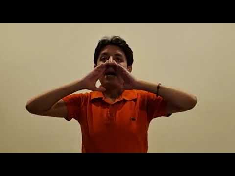 Soy Una Mosca Me Quiero Casar